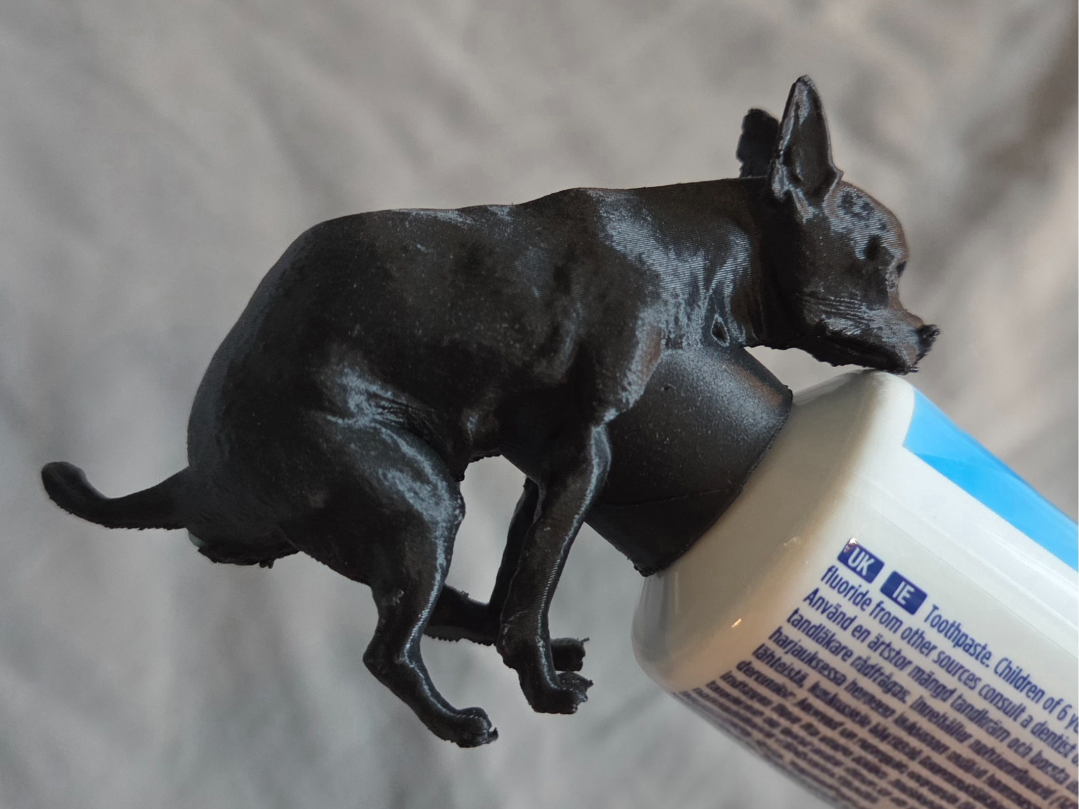 Toothpaste Pooping Chihuahua