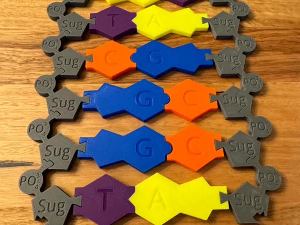 https://makerworld.bblmw.com/makerworld/model/US20d5d1774dc4a6/design/2024-05-25_1454b5fd8c71f.jpg