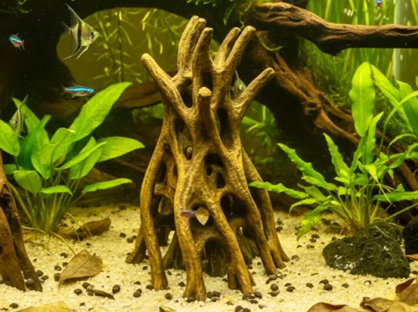 https://makerworld.bblmw.com/makerworld/model/US20d6ea080e383a/design/2025-12-11_17033a4e135c08.jpg