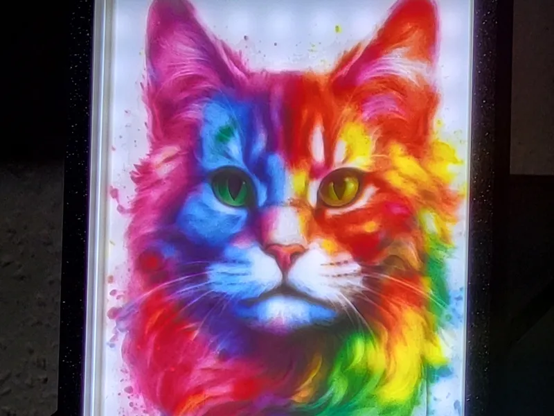 Lithophane cat