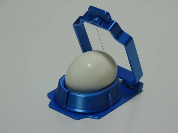 https://makerworld.bblmw.com/makerworld/model/US20df1f4581c450/design/2025-06-19_d3c076d69153f8.jpg