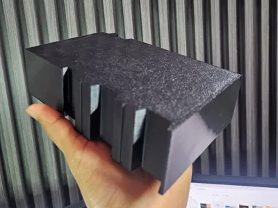 ocean model