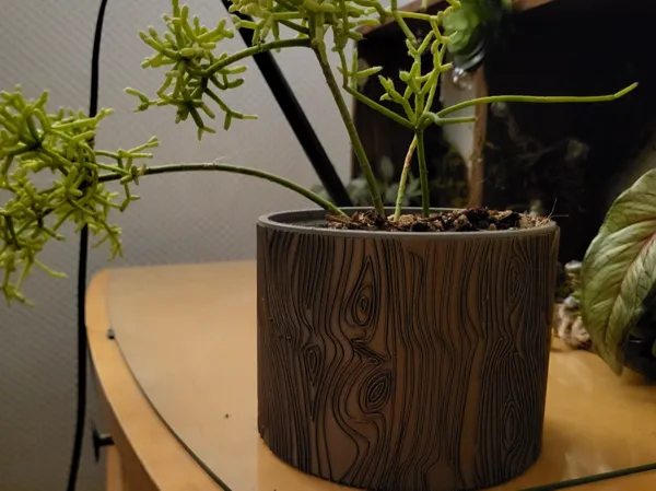 https://makerworld.bblmw.com/makerworld/model/US20e04695d4ee2b/design/2025-01-21_d649f1cbd9583.jpg