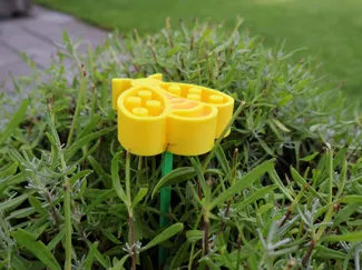 Insektentränke