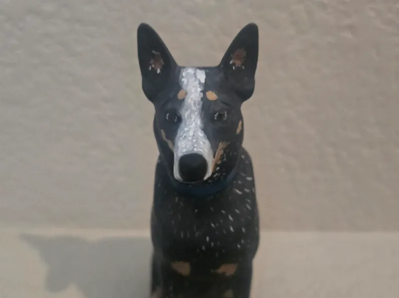 Australian Cattle Dog