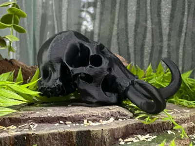 mammoth skull