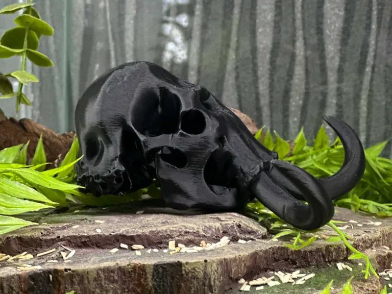 mammoth skull