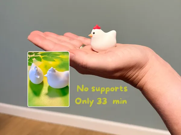 https://makerworld.bblmw.com/makerworld/model/US20eee8ec364f06/design/2026-01-12_acc554cbbf611.png
