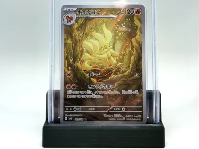CGC Slab Display