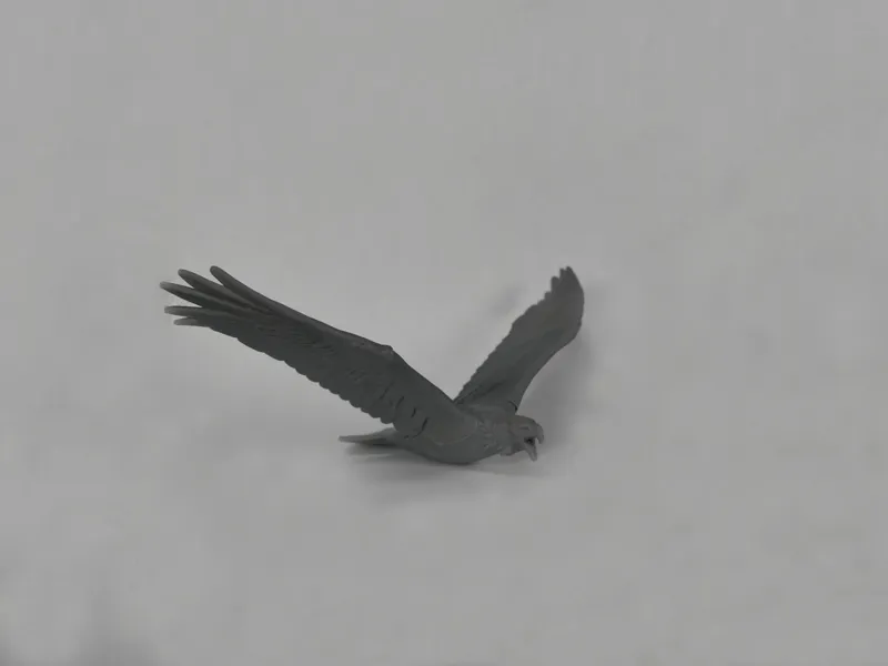 Eagle Miniature 2