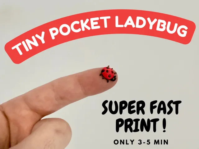 Tiny Pocket Ladybug - Super Fast Print