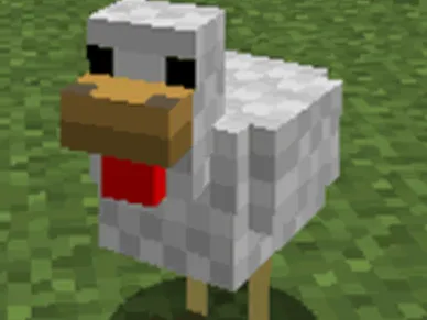 Chicken Minecraft