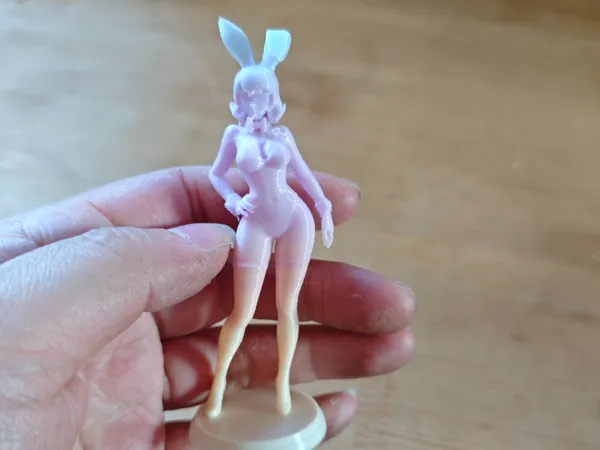 https://makerworld.bblmw.com/makerworld/model/US20ff13f6354eab/design/2025-12-02_9d64a6c1a3c04.jpg