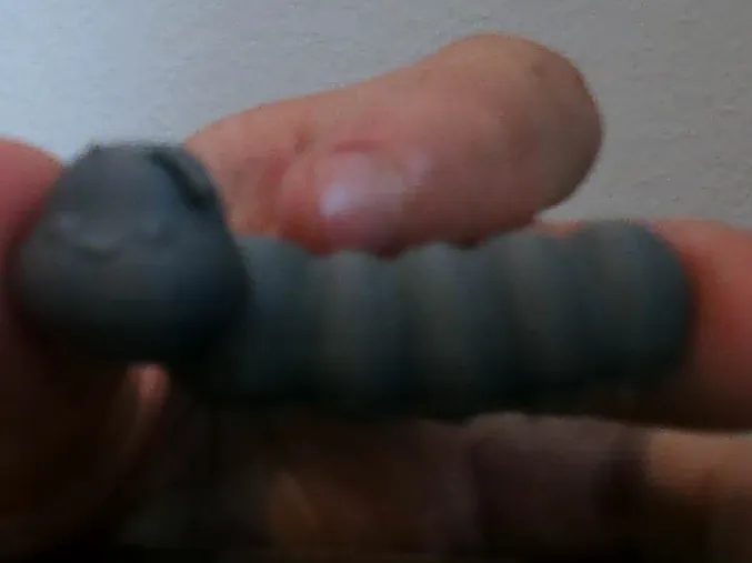 Mini Caterpillar 