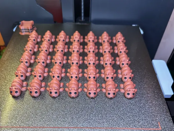 https://makerworld.bblmw.com/makerworld/model/US2107d18f2e95e2/design/2025-11-18_f0d17930f01638.jpeg
