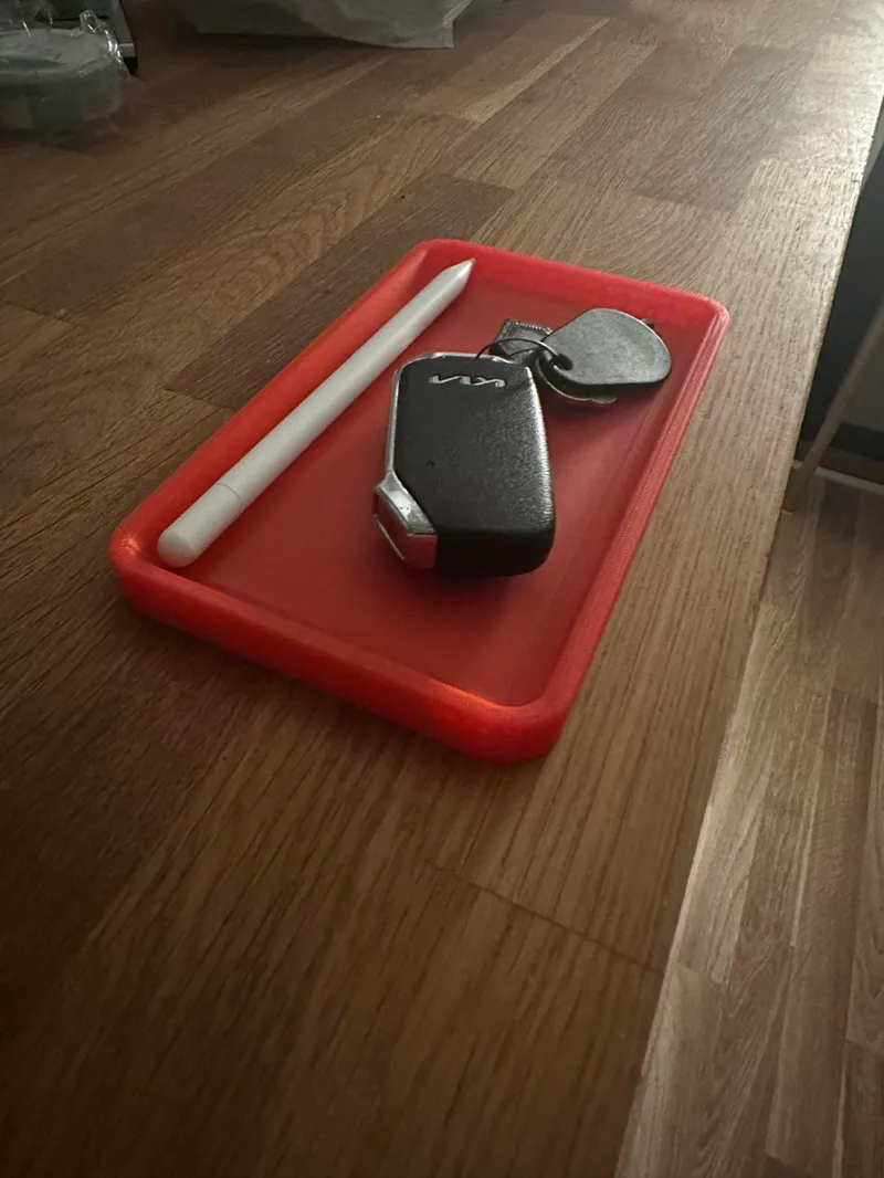 Stylish tray