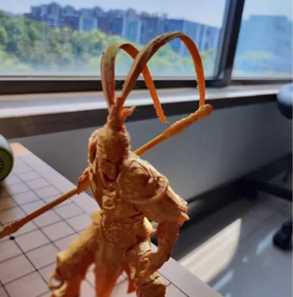 wukong