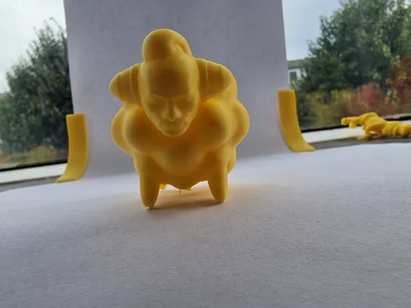 https://makerworld.bblmw.com/makerworld/model/US210dc1d525ef96/design/2024-12-12_82f1ea8be69fd.jpg