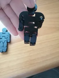 lil buddy thin