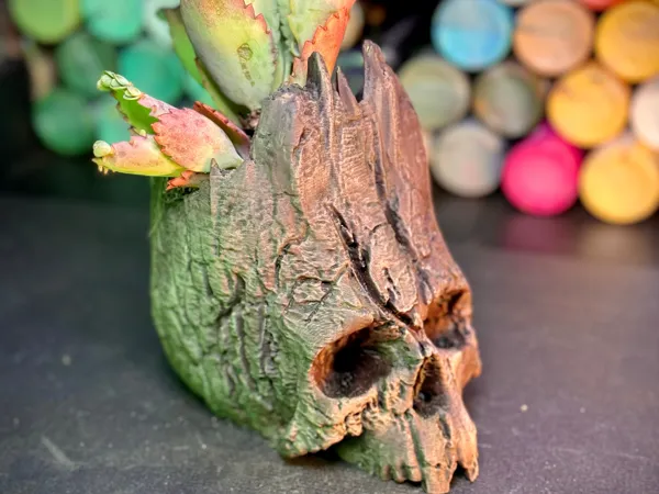 https://makerworld.bblmw.com/makerworld/model/US21213f389df02f/design/2024-07-13_3dd584576774b8.jpg
