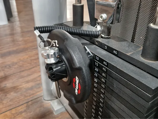 https://makerworld.bblmw.com/makerworld/model/US2128e26820a718/design/cd200dd6ea721d92.jpg