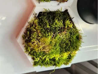 Moss Planter - Vertical or Horizontal