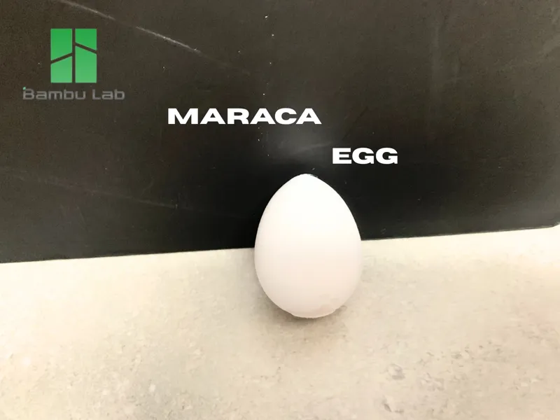 Maraca Egg