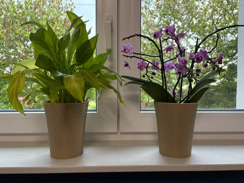 Spiral plant pot