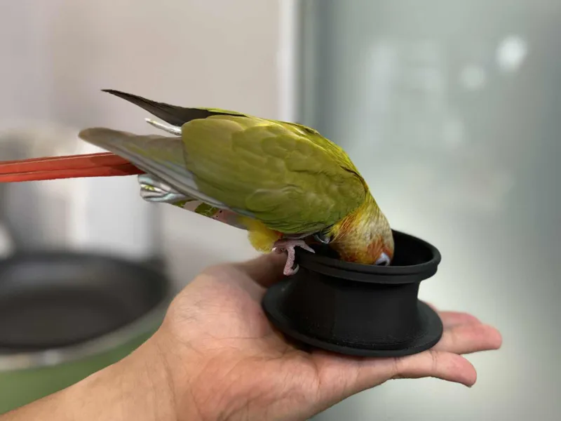 No-spill&No-tip bird food bowl 鳥食盆 container pet
