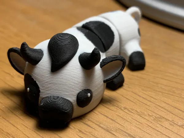 https://makerworld.bblmw.com/makerworld/model/US21378a5e230a2a/design/2024-12-10_2684366e2a17a.jpg