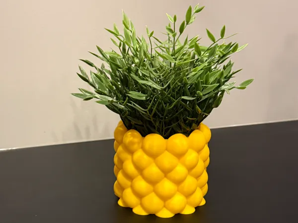 https://makerworld.bblmw.com/makerworld/model/US213b10f9f5782d/design/2025-12-11_8b105d94b8ea08.jpeg