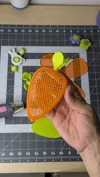 Carrot Only - Honeycomb Pattern