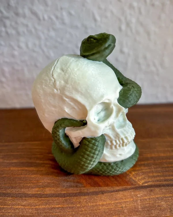 https://makerworld.bblmw.com/makerworld/model/US2142f967a49284/design/2024-11-13_e7542f2f39b74.jpg
