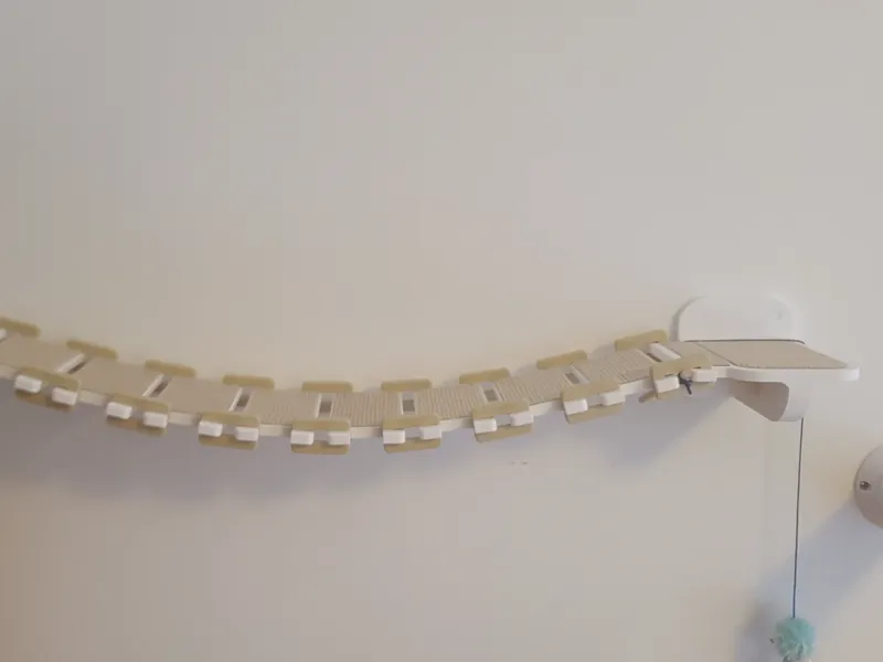 Cat Bridge