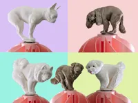 Dogs C