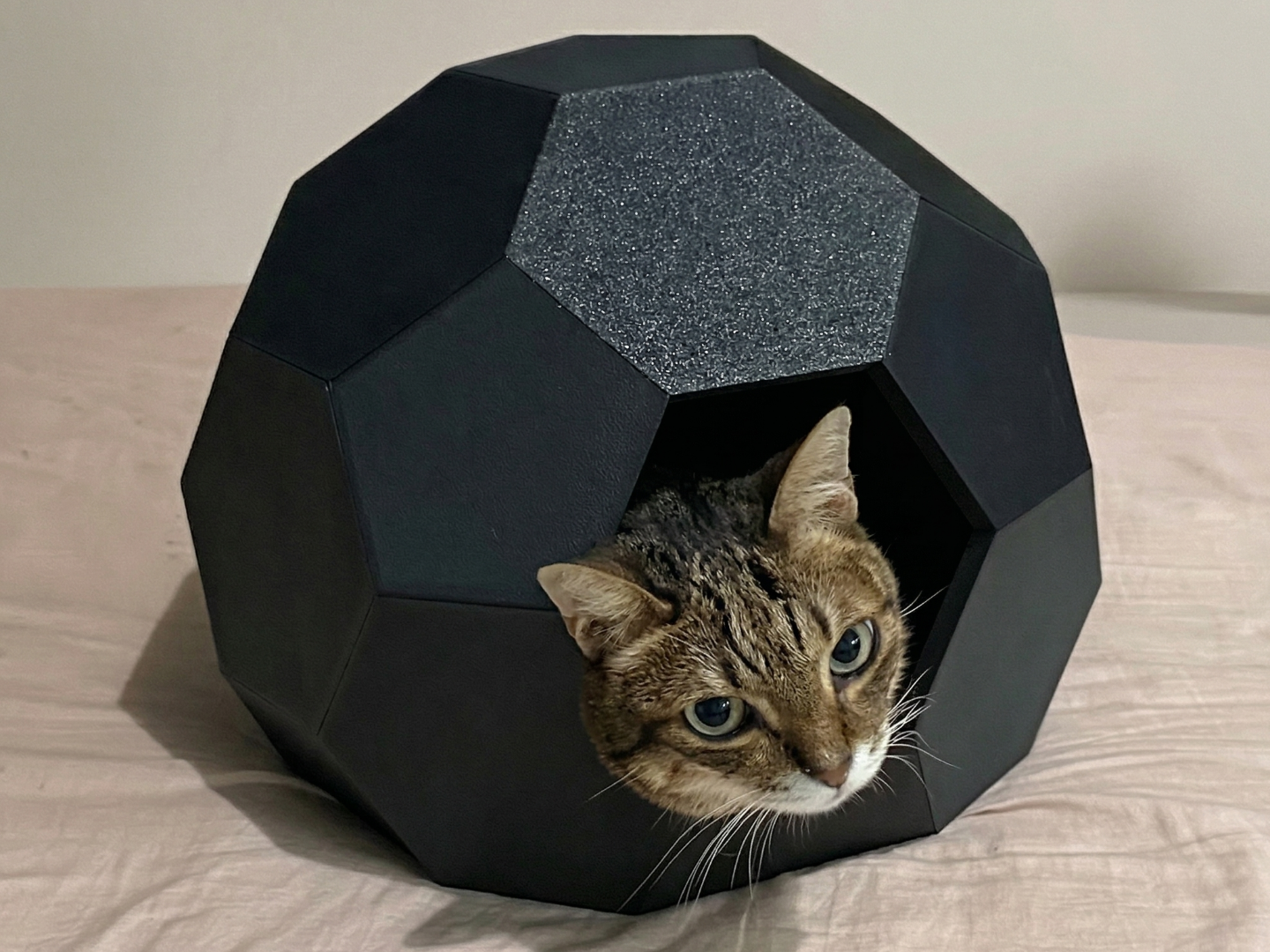 圓頂貓屋(仿生龜殼)|Geodesic Dome Cat House(Tortoise Shell)