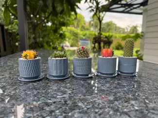 Plant Pots - Set 2