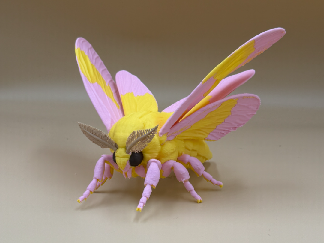 Rosy Maple Moth – Realistic Wildlife Model - 1
