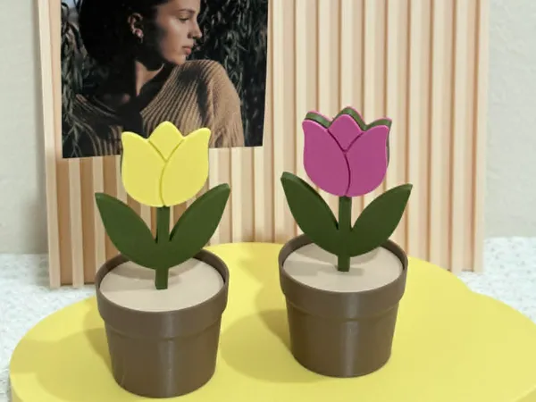 https://makerworld.bblmw.com/makerworld/model/US2166eb568ae370/design/f17c58c567ae7791.jpg