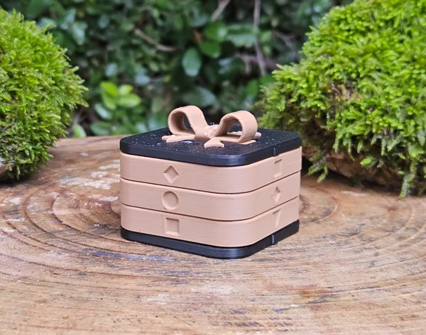 https://makerworld.bblmw.com/makerworld/model/US2167e4ce4a5139/design/2024-12-20_cb916fba9d678.jpg