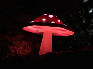 Mushroom Lamp