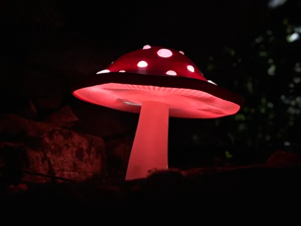 https://makerworld.bblmw.com/makerworld/model/US2168aa53e7e571/design/2025-08-29_6366a42e57b7c8.jpg