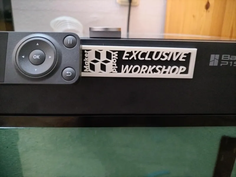 P1S Display Frame