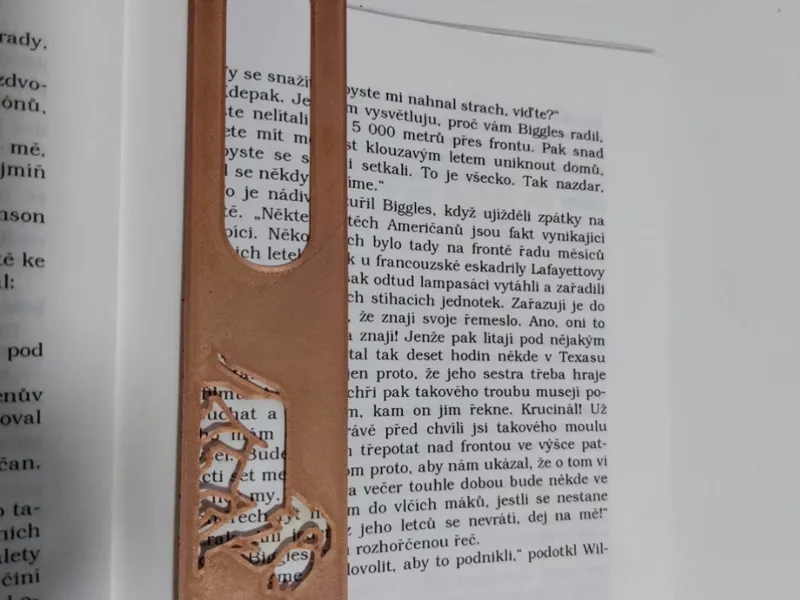 lion  bookmark