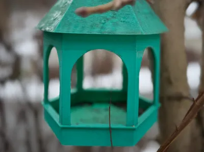Garden Bird Feeder
