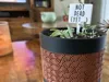 Not Dead (Yet....) - Single Sign | 0.2mm layers