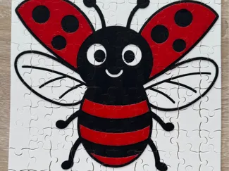 puzzle coccinelle 100 pièces
