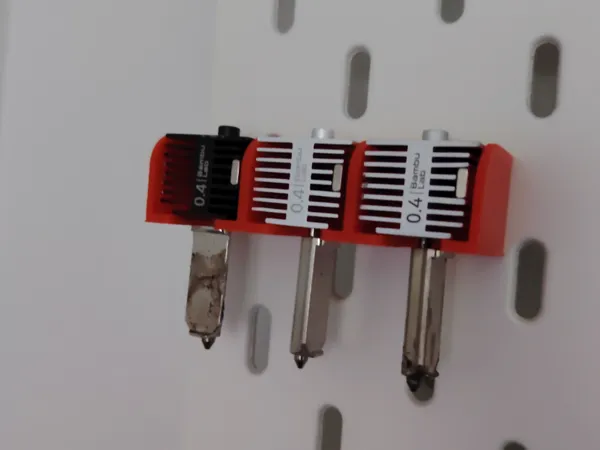 https://makerworld.bblmw.com/makerworld/model/US217a6f3ca195e1/design/2025-12-06_962230cda49bb.jpg