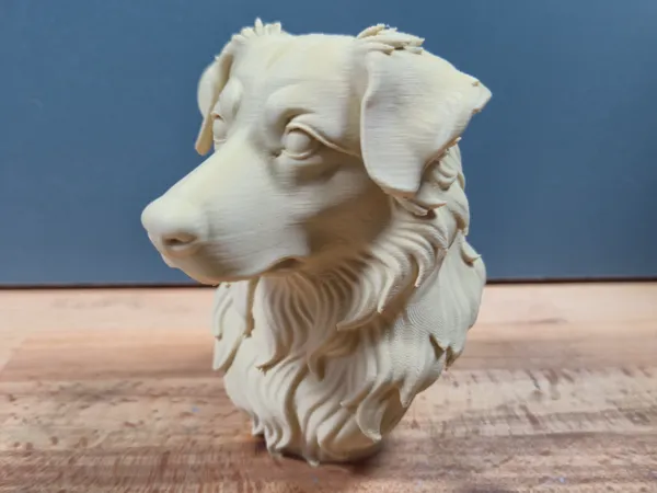https://makerworld.bblmw.com/makerworld/model/US217dfe0ff65fb5/design/2025-05-16_65cd9c18b9607.jpg