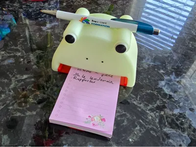 Frog notepad and pen holder